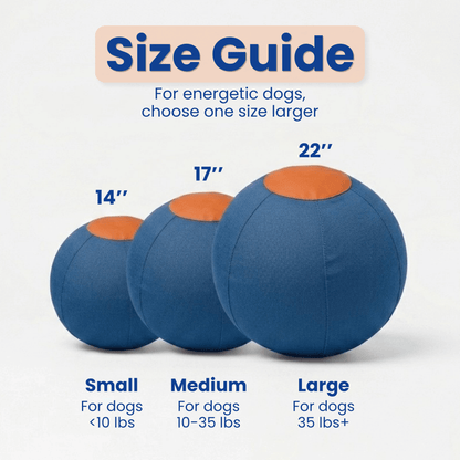 Herding Ball for High Energy Dogs