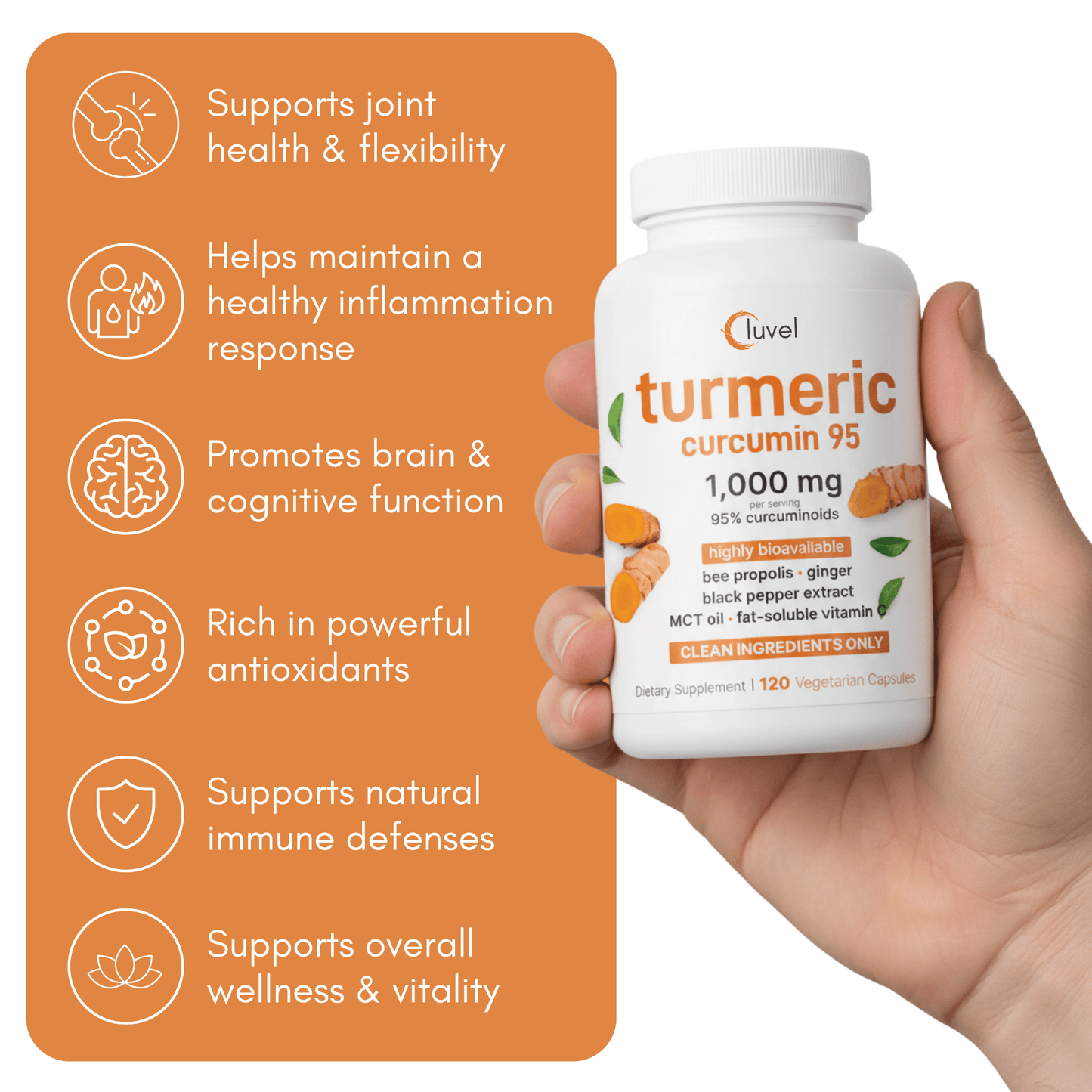 Turmeric Curcumin (1,000mg)