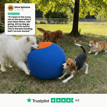 Herding Ball for High Energy Dogs