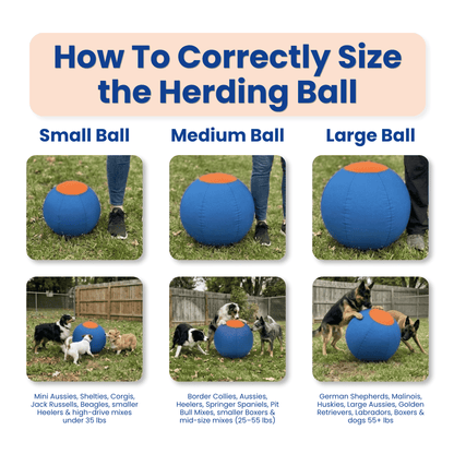 Herding Ball for High Energy Dogs
