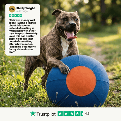 Herding Ball for High Energy Dogs