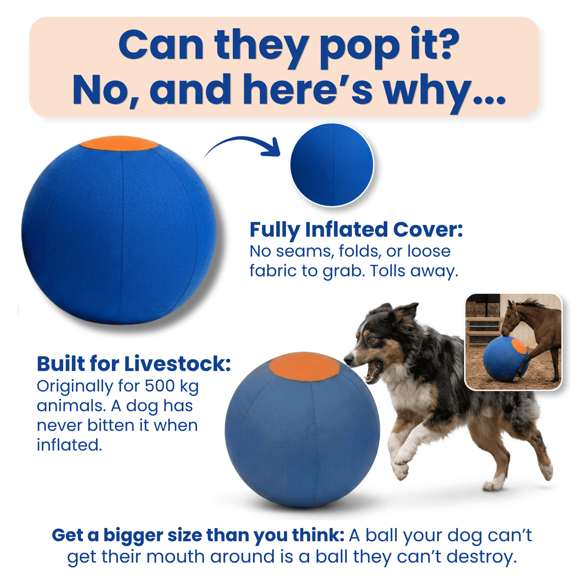 Herding Ball for High Energy Dogs