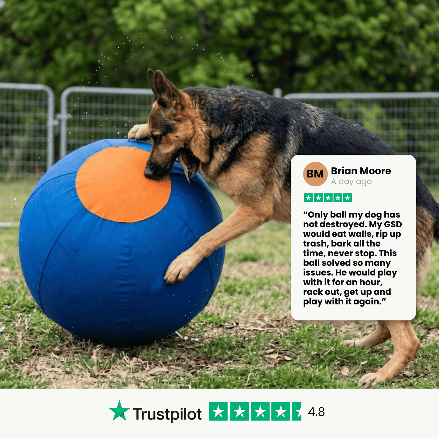 Herding Ball for High Energy Dogs