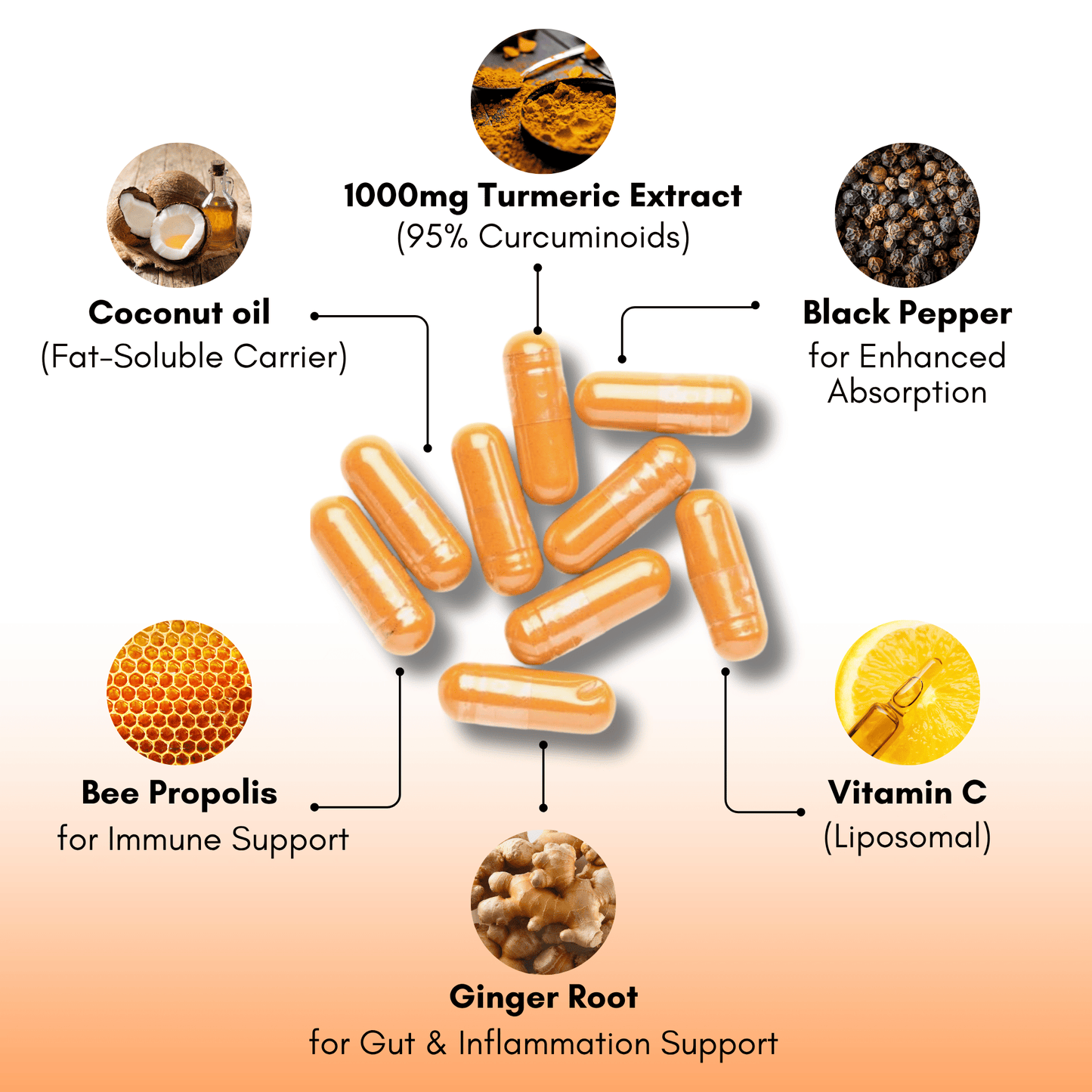Turmeric Curcumin (1,000mg)
