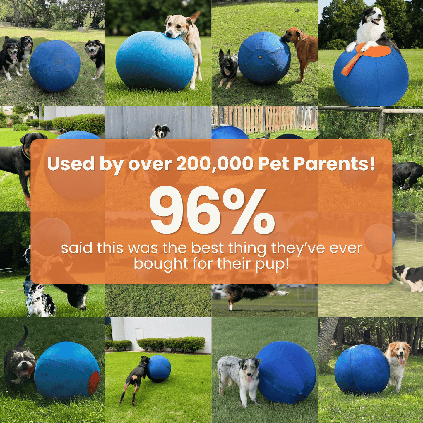 Herding Ball for High Energy Dogs