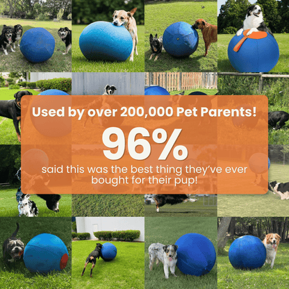 Herding Ball for High Energy Dogs