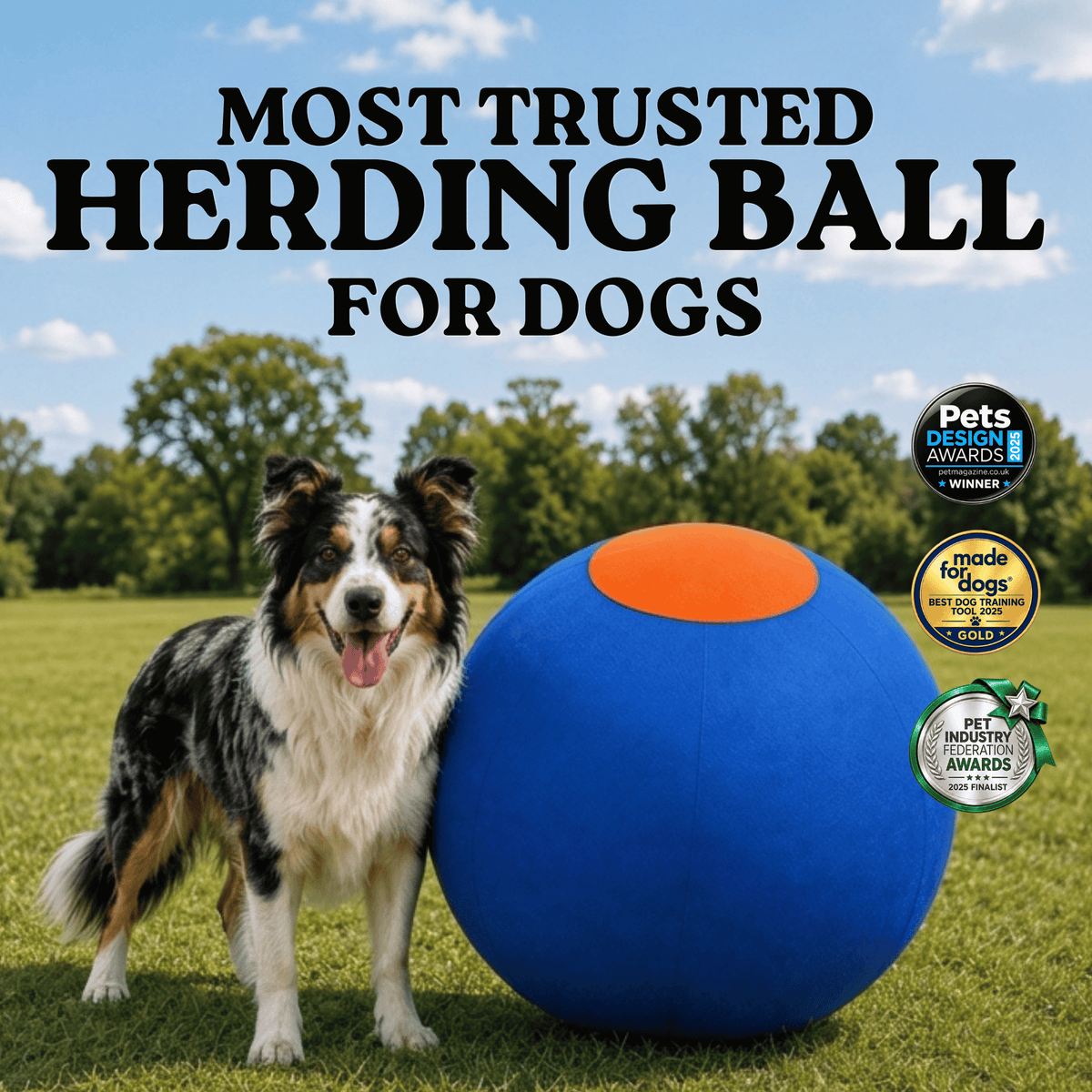 Herding Ball for High Energy Dogs