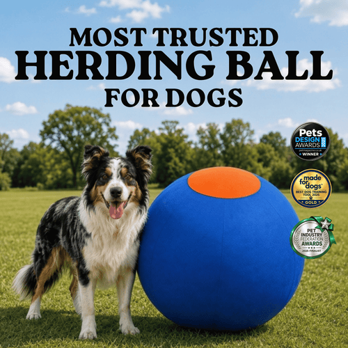 Herding Ball for High Energy Dogs